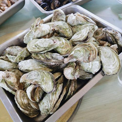 麻豆天美精东专题页面